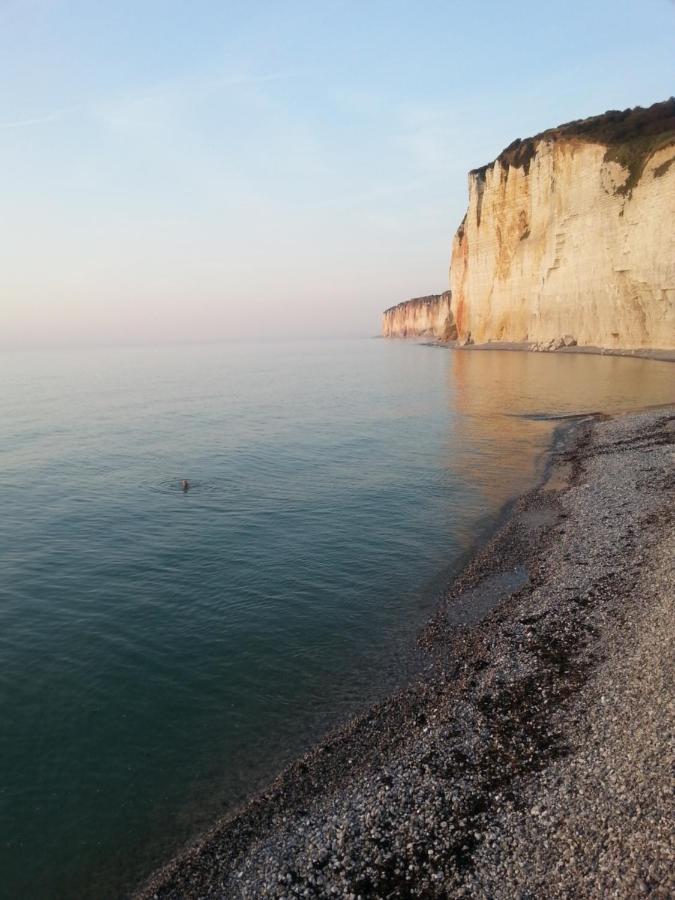 Sassetot-le-Mauconduit La Mare Aux Canards المظهر الخارجي الصورة